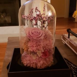 Preserve Fresh Flowers w/ Free Gift